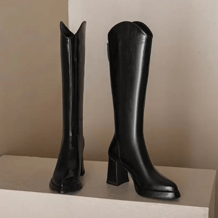 BOTTES HAUTES FEMME BOUT POINTU NOIR / 35