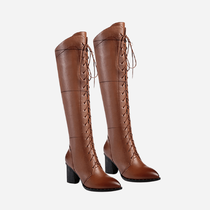 BOTTINES HAUTES FEMME À LACETS AVEC TALON HAUT MARRON / 34